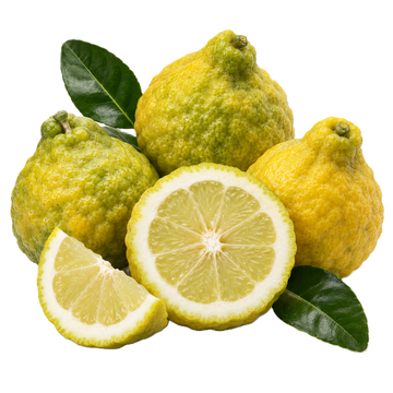 Bergamot