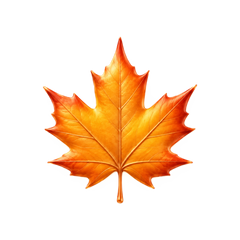 Fall
