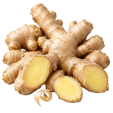 Ginger