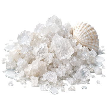 Salty Accord